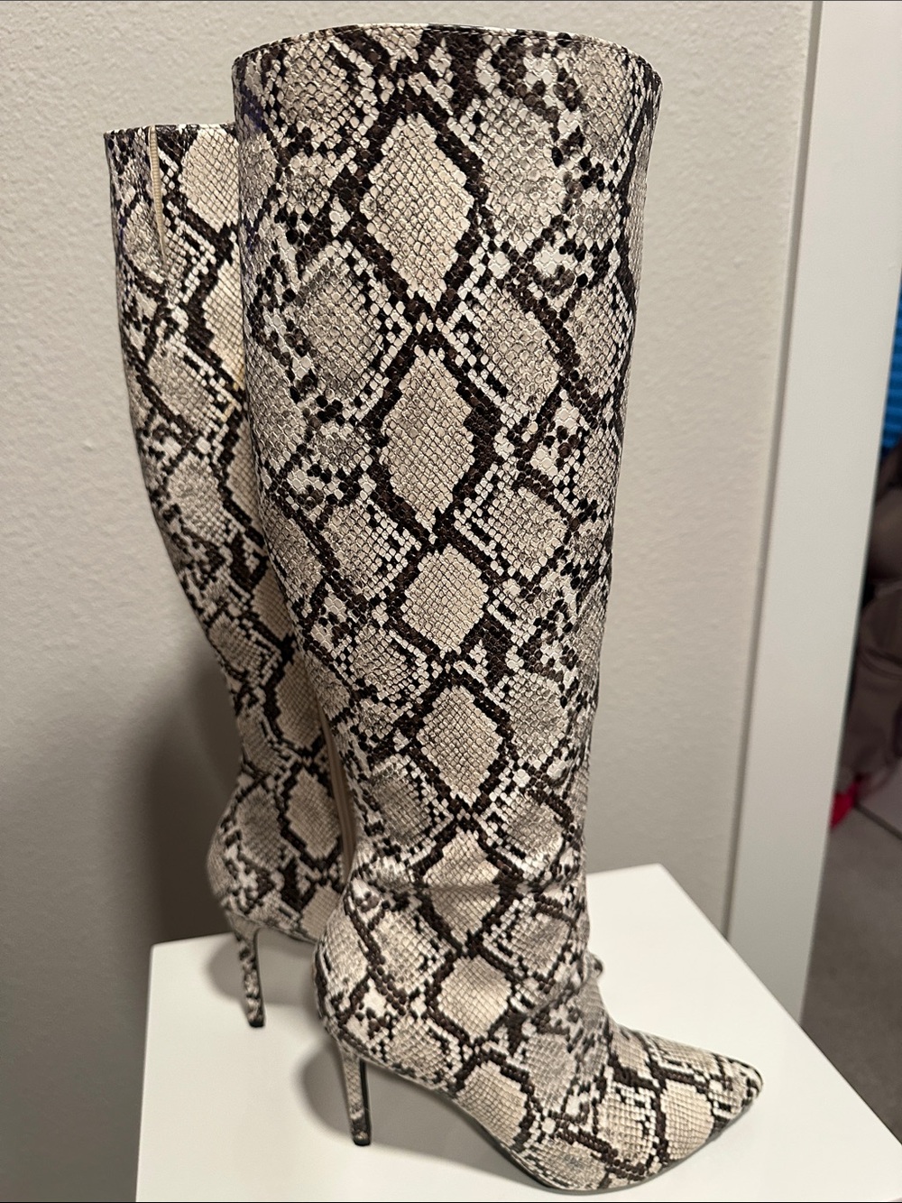 Thalia Sodi Snake Print Tall Boots